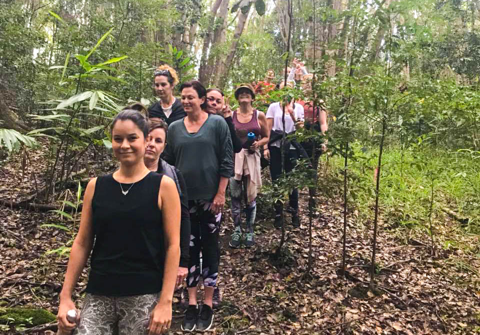 Gymea Retreat, Walks of the Rainforest. Photo courtesy of Ang Keates