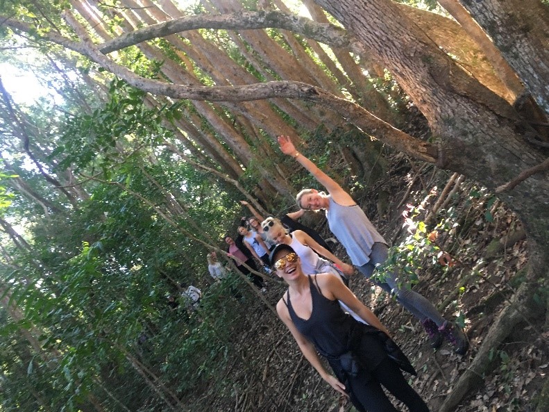 Sana Women’s Wellness Retreat 2018 Rainforest Walk